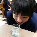 水中花園2